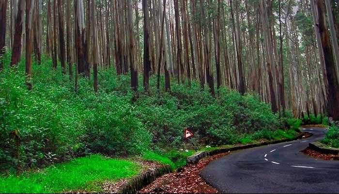 Ooty and Kodaikanal Tour Packages